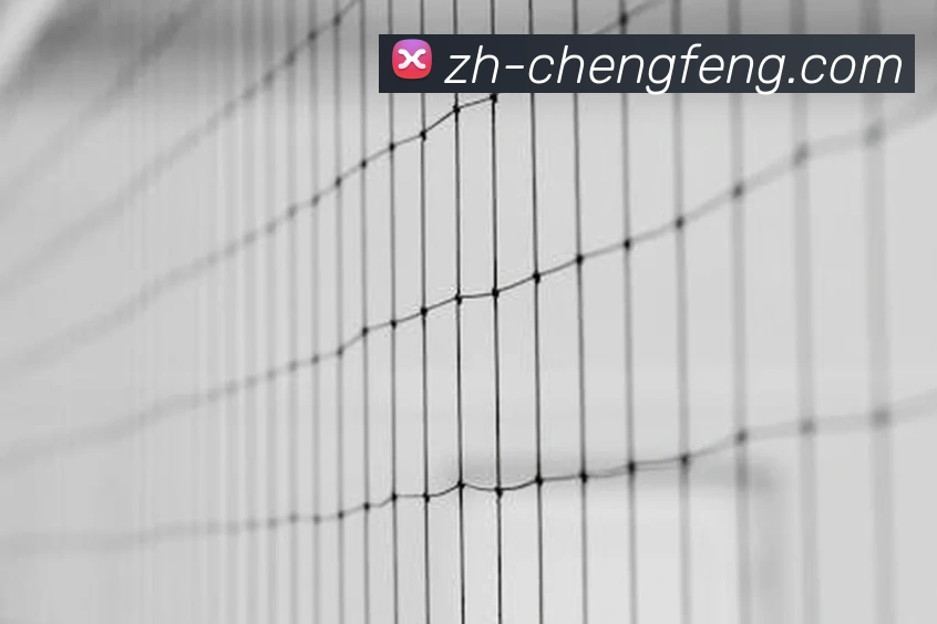 对战数据统计